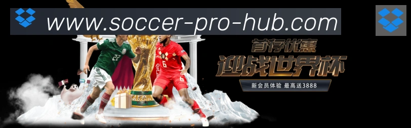 巴西世界杯投注入口服务体系